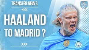 市场上的动 市场上的动